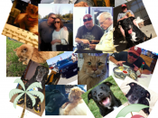 Kevin Neal Life Updates, 12/16/2016