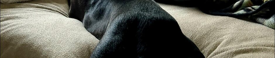 Neal Family Barnhouse Update, 07/29/2023