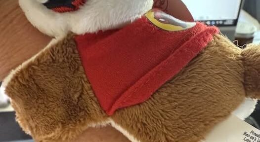 2025 in Review: Furry Family, Fun, and Focus